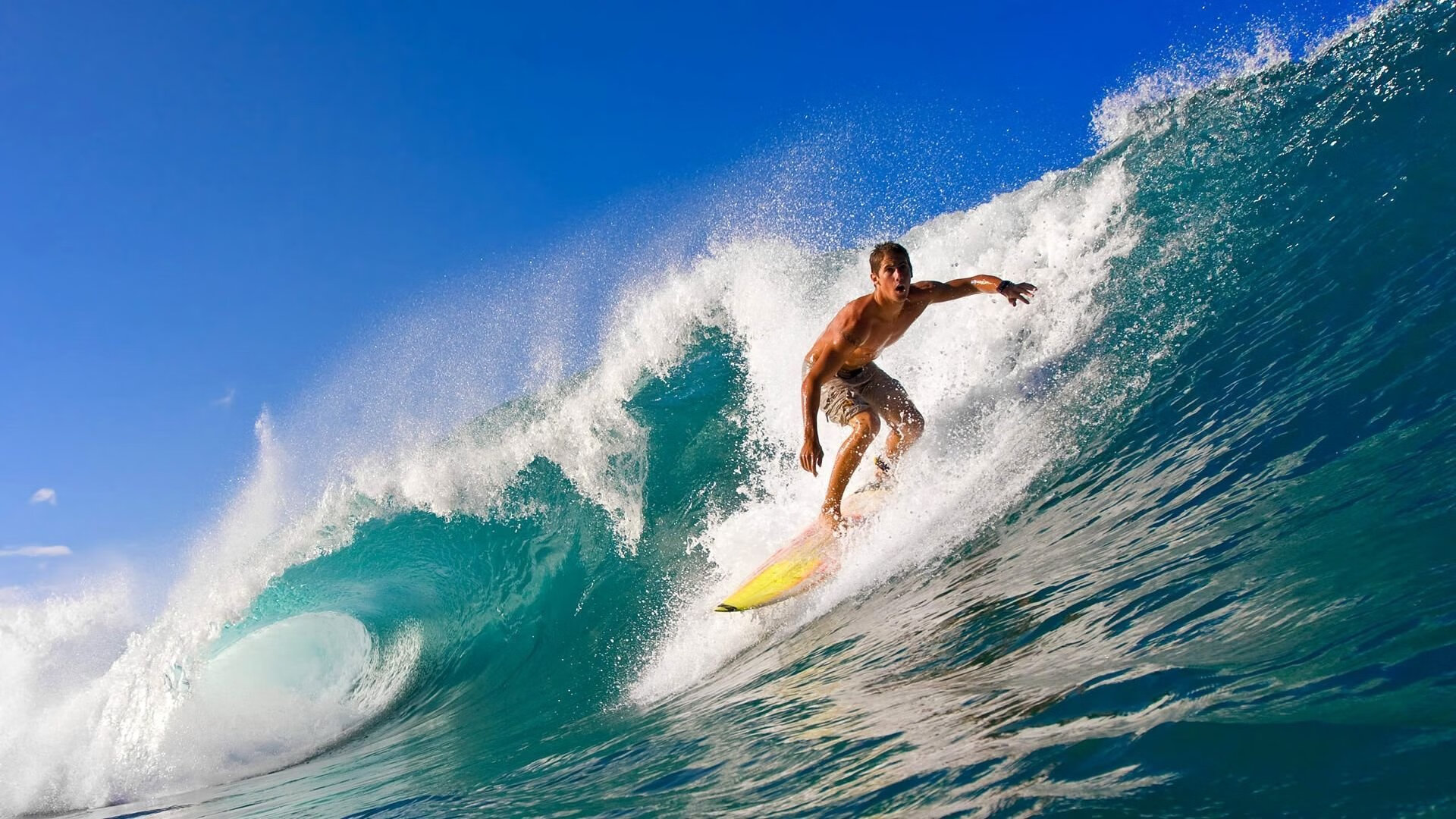 乐鱼官方-体育新闻中心推动体育内容跨境传播合作项目,大型体育新闻报道策划 第1张 乐鱼官方-体育新闻中心推动体育内容跨境传播合作项目,大型体育新闻报道策划 第1张