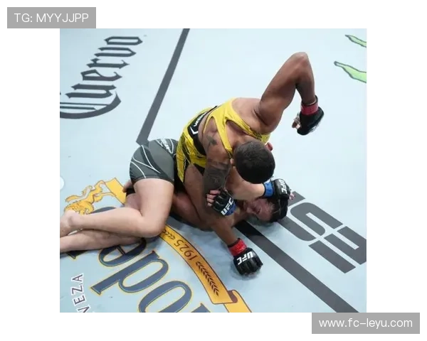 UFC贴身肉搏血战——极限对决，燃烧激情