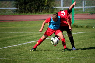 篮球运动员训练负荷监控系统开发与应用研究，篮球运动员运动负荷量