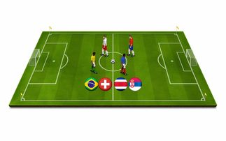 青少年体育运动安全保障体系构建与应用研究，青少年体育工作